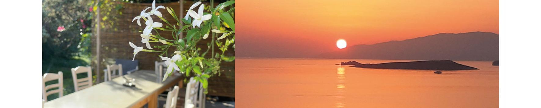 higfk gfk paare paros